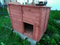 будка для собак деревянная, с односкатной крышей, крашеная, банный перец