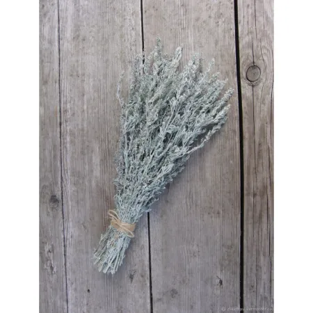 пучок полыни "mr.venikoff"