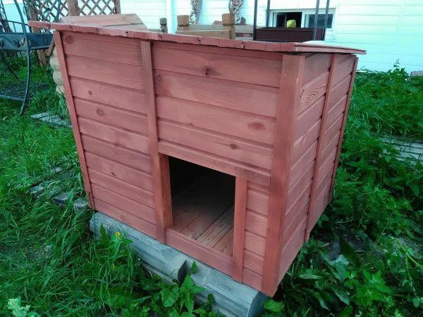 будка для собак деревянная, с односкатной крышей, крашеная, утеплённая, банный перец